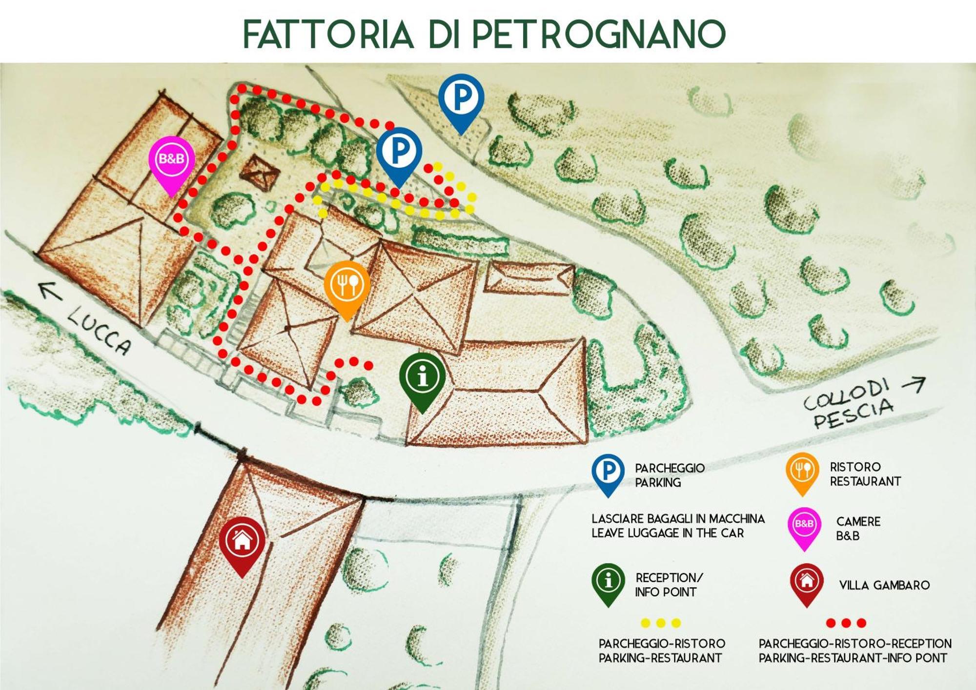 Fattoria Gambaro Di Petrognano Villa Collodi Buitenkant foto